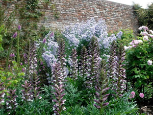 sissinghurst